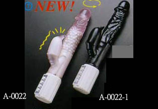 f24_1a.jpg (22655 bytes)