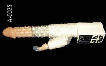 a23.jpg (14850 bytes)