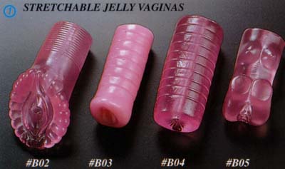 b02.jpg (19093 bytes)