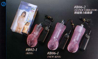 b02_1.jpg (18987 bytes)