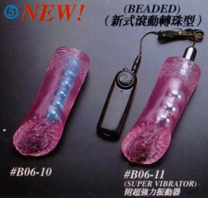 b06_10.jpg (19214 bytes)