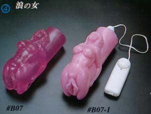 b07.jpg (13085 bytes)