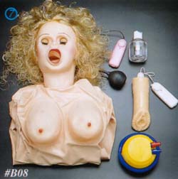 b08.jpg (17786 bytes)