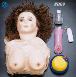 b09.jpg (17273 bytes)