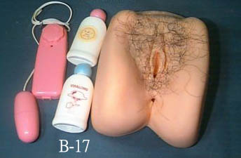 b15.jpg (19529 bytes)