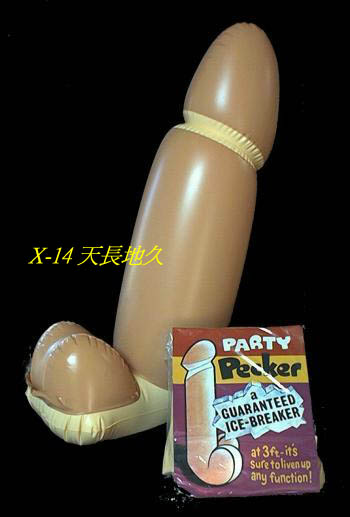 x14.JPG (23853 �Ӧ줸��)