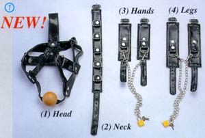 x26_1.jpg (17326 bytes)