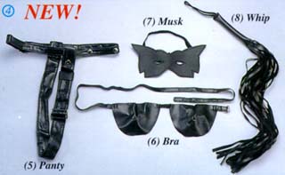 x26_5.jpg (17186 bytes)